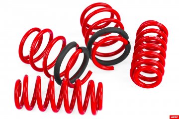 APR Roll-Control Springs - 8V S3, RS3