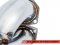 AWE Touring Edition Exhaust for Audi B9 S5 Sportback - Non-Resonated (Silver 90mm Tips)