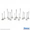 Ferrea Racing Components - Audi 2.7T - Competition Plus Intake Valves (1mm Oversized) - Set of 18